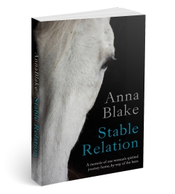 Stable_Relation_3D_Cover[1]